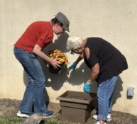 A photograph of two temple members planting flowers into a planter.