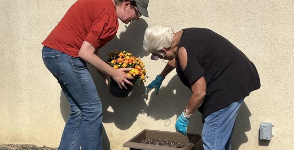 A photograph of two temple members planting flowers into a planter.